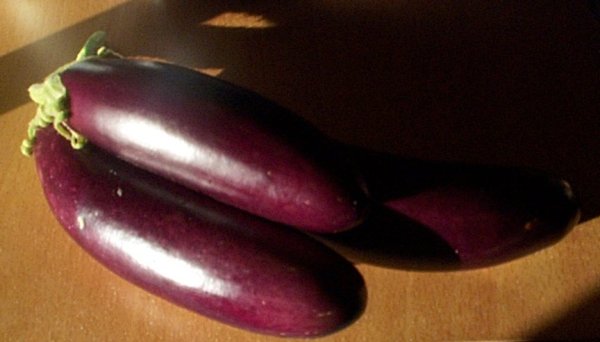 my_eggplants.jpg
